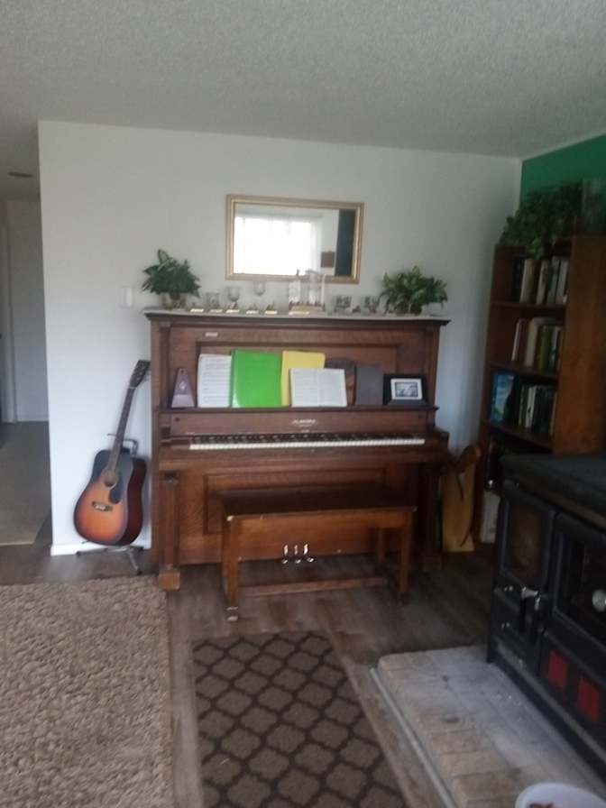 Susan Cook's room