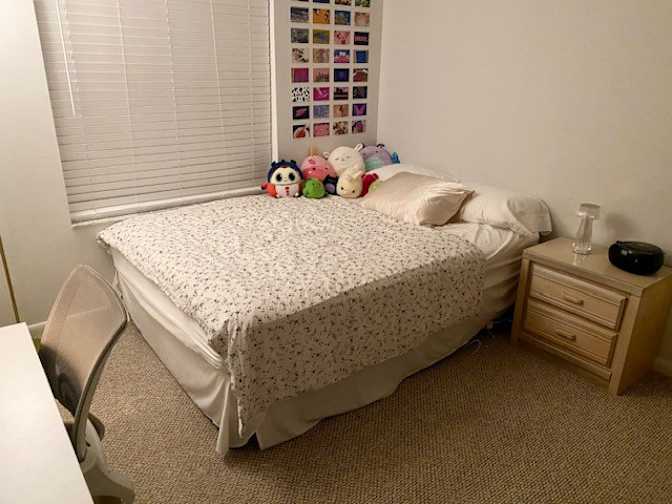 Tali Lanfir's room