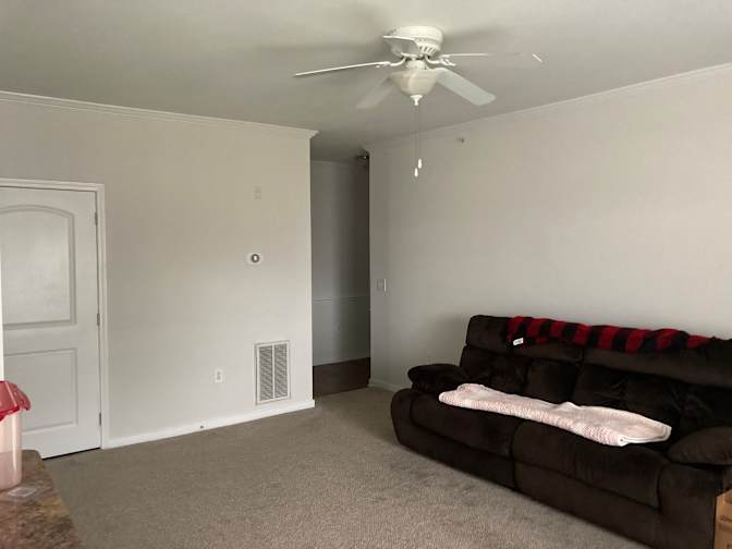 Robert's room