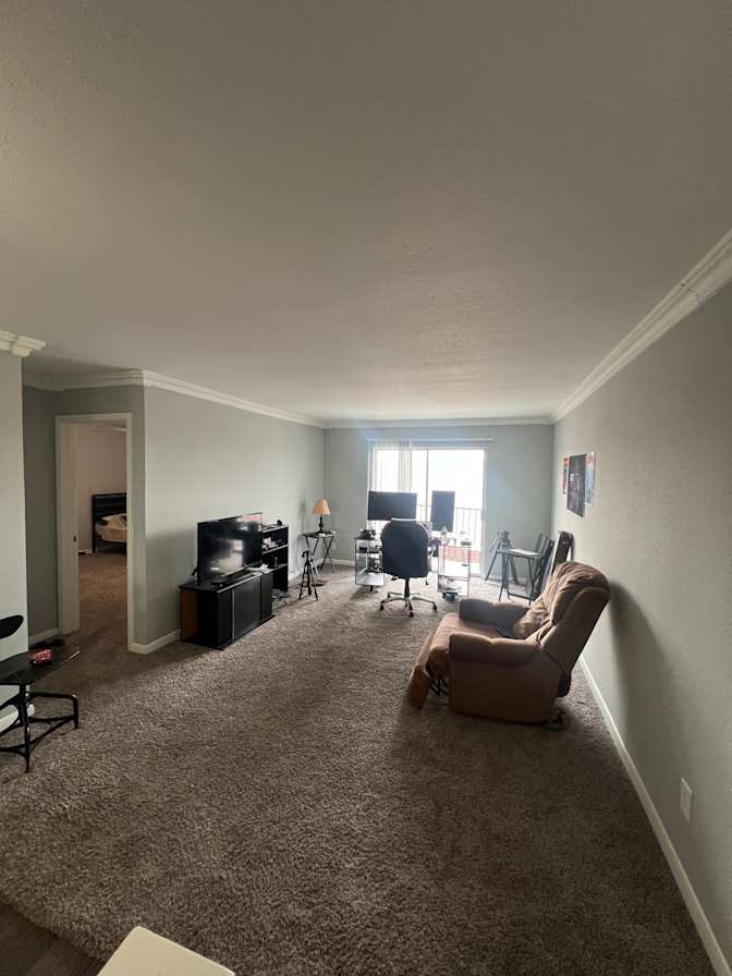 Mohammad's room