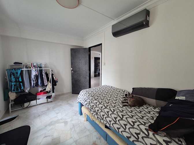 Z's room