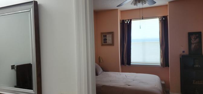 Liz S's room