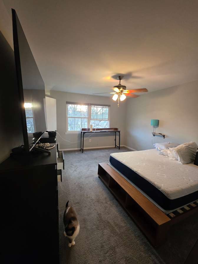 K's room