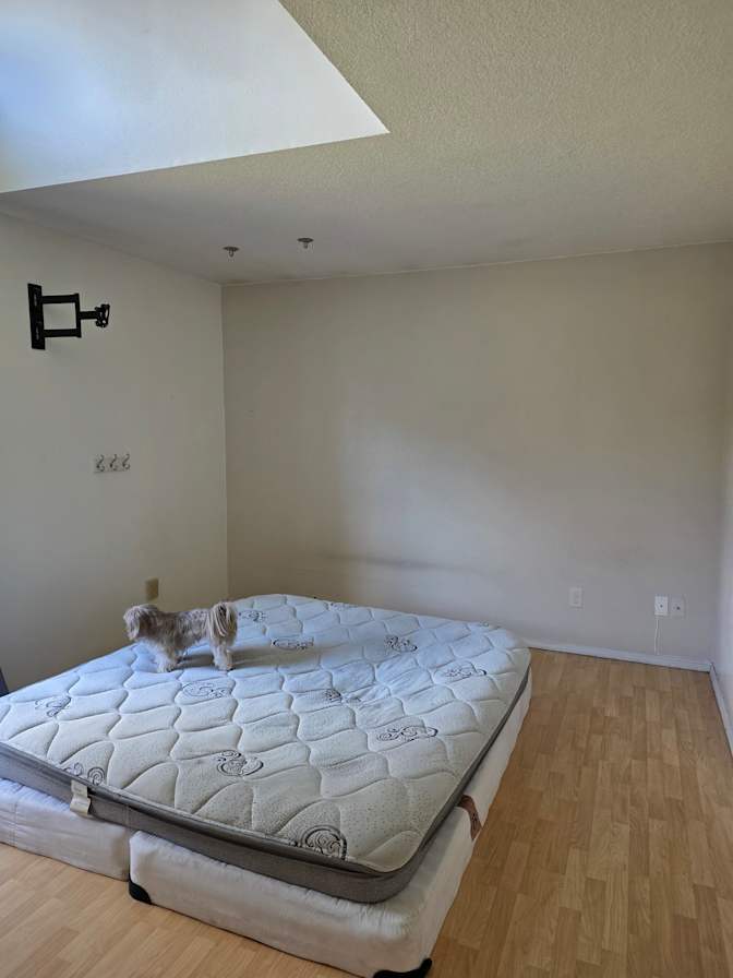 JoAnn's room