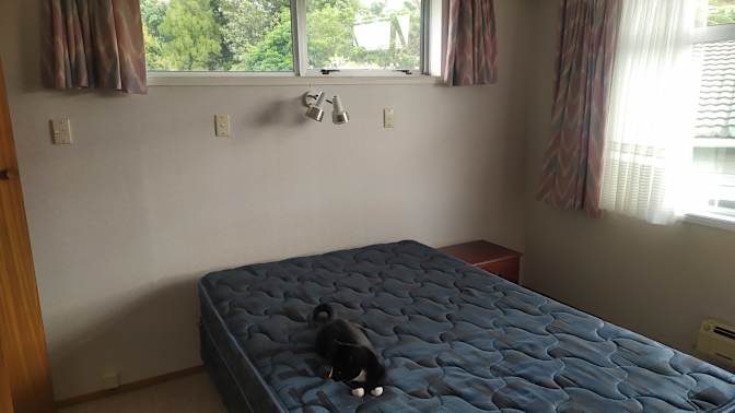 Adrian's room