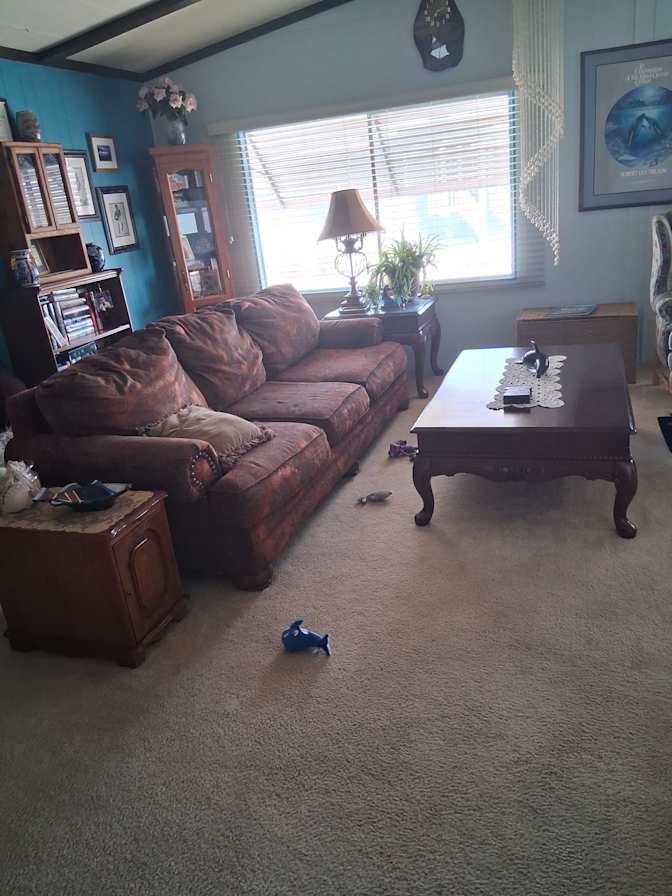 Paula's room