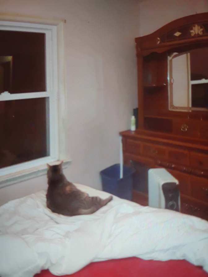 Jacqueline Arnold's room