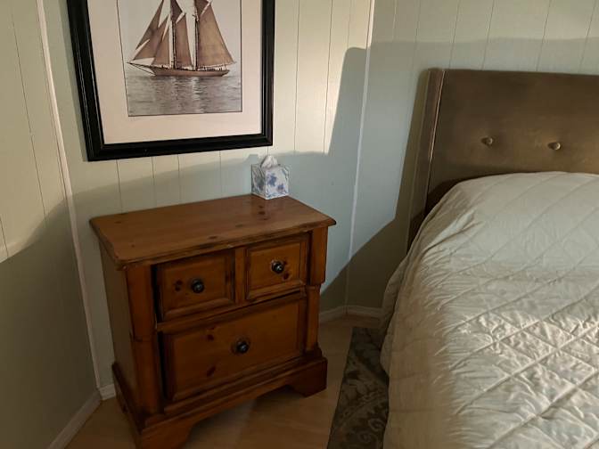 Aviva's room