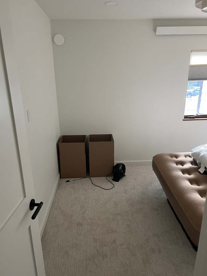 Jacob's room