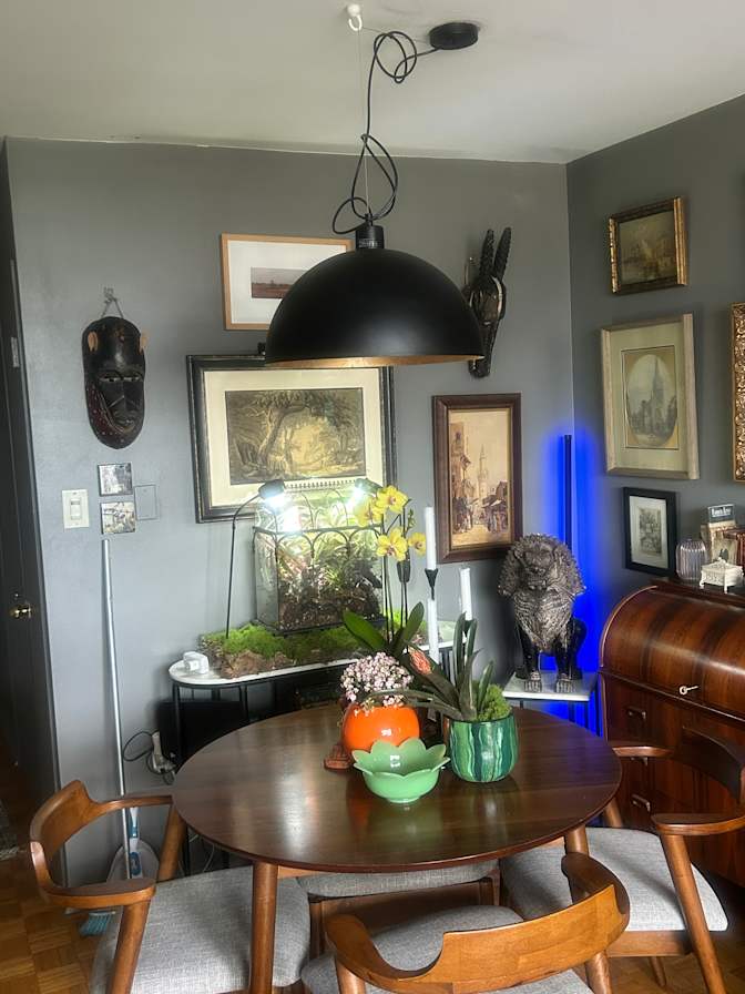 Stuart's room