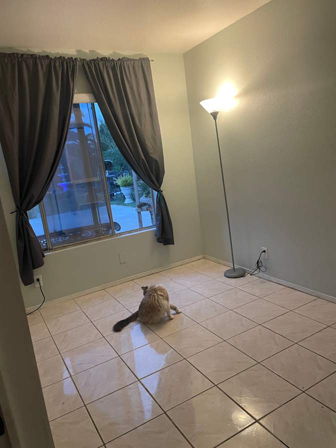 Lu's room