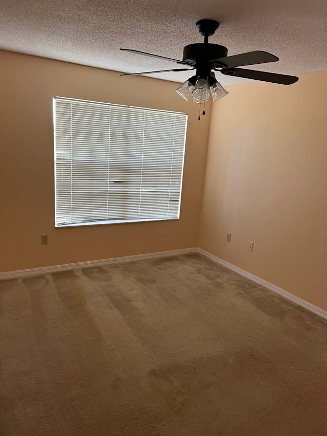 Holly's room