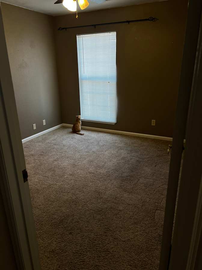 Lauren's room
