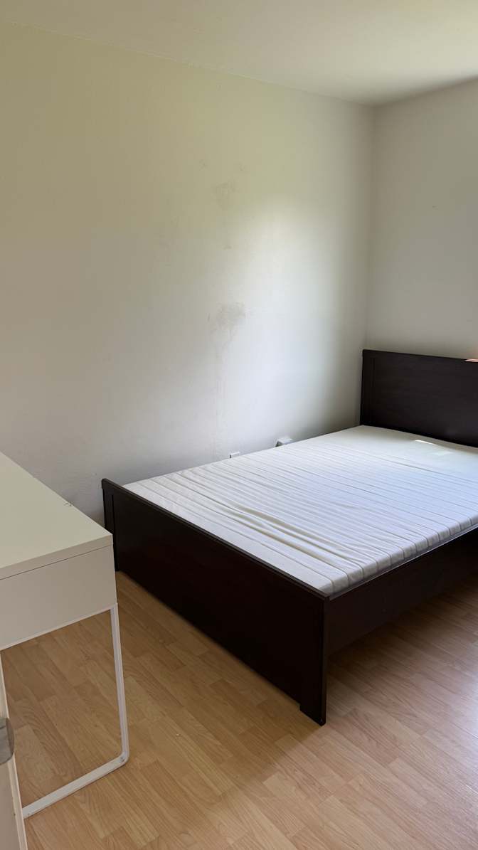 Amy's room