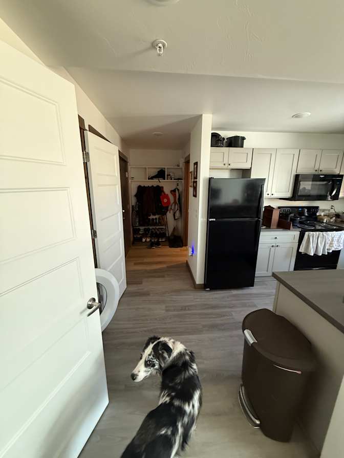 Olivia's room