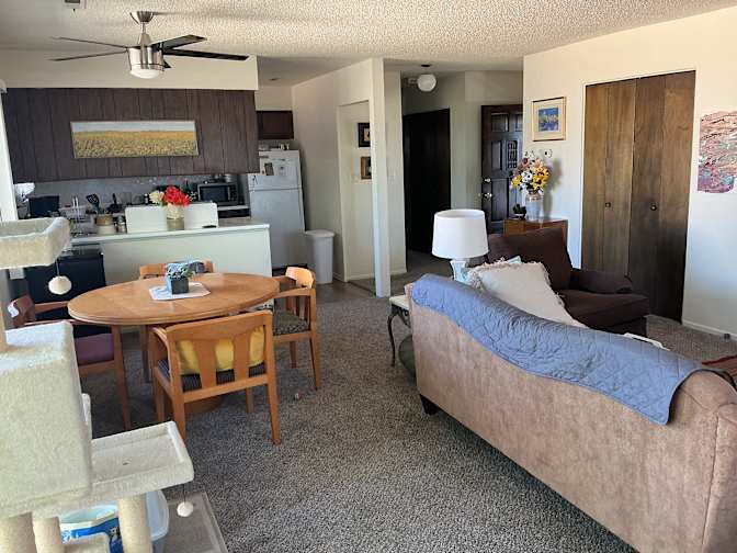 Paula Collins's room