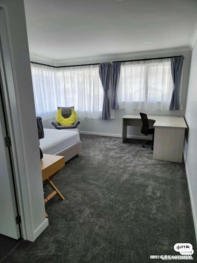 Lily bo's room