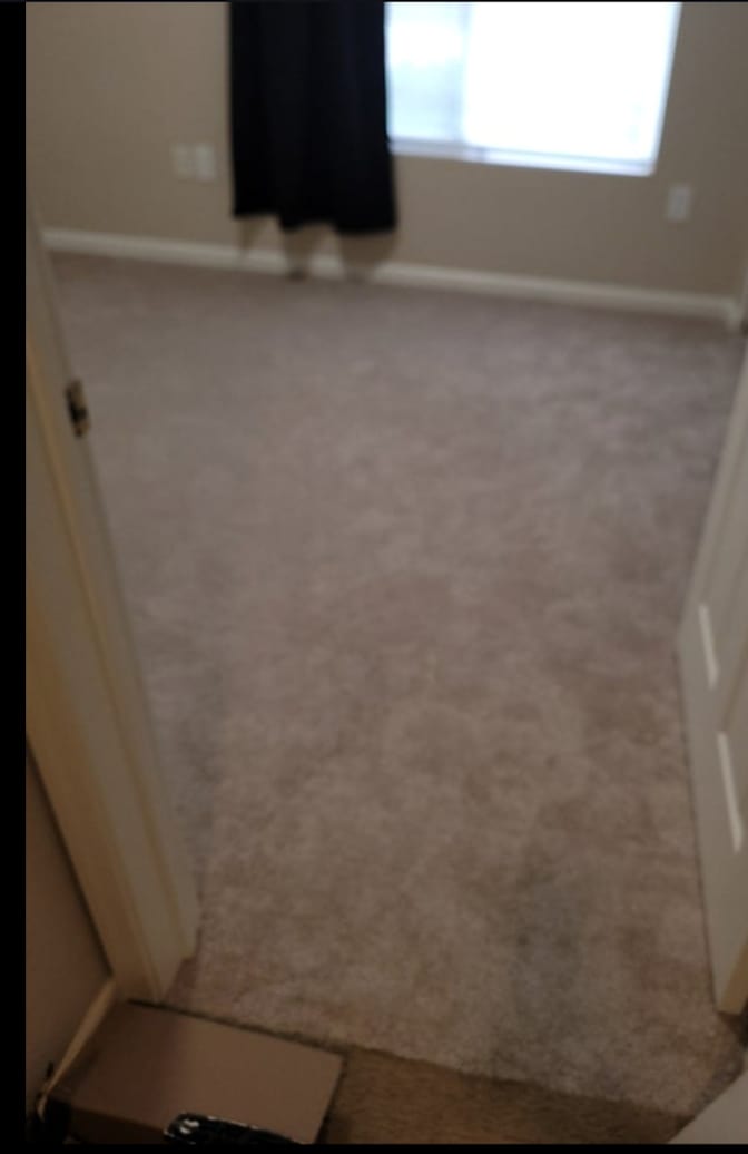 Tyler's room