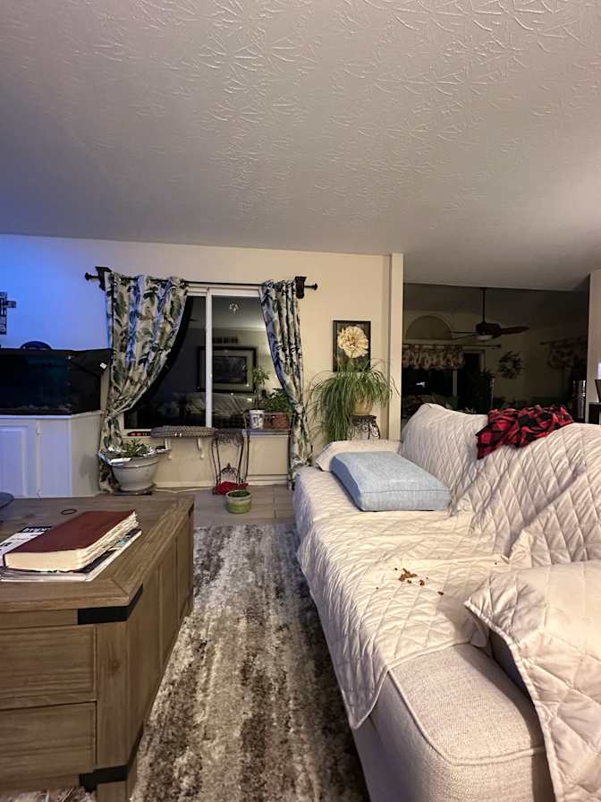 Leslie's room