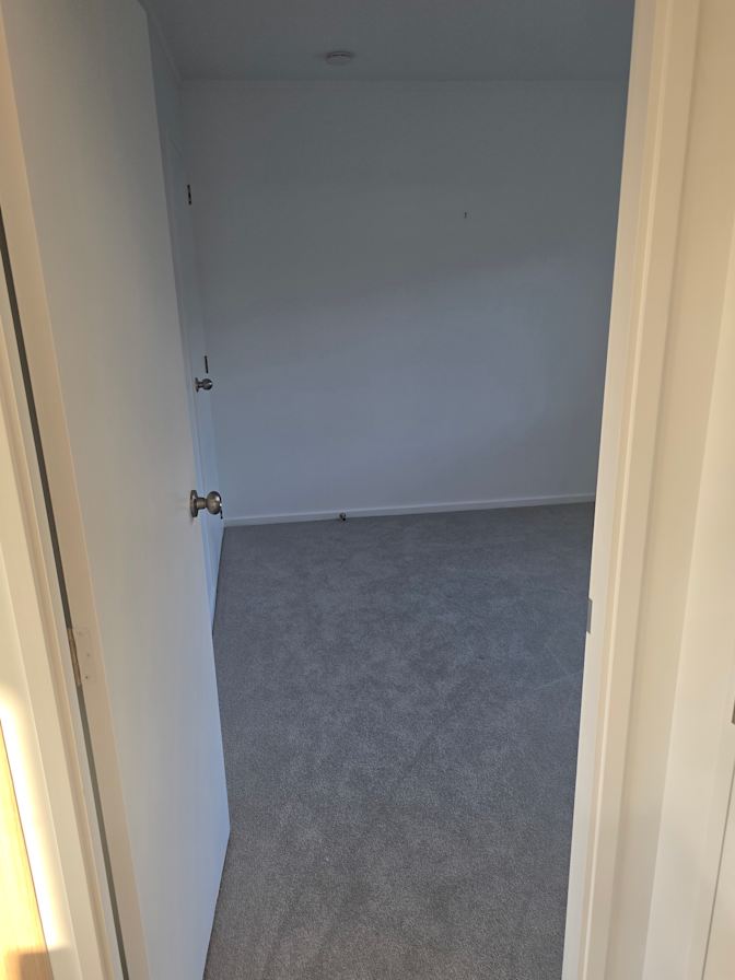 Shane's room