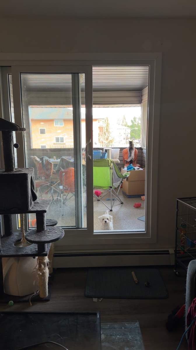 Madison Klassen's room