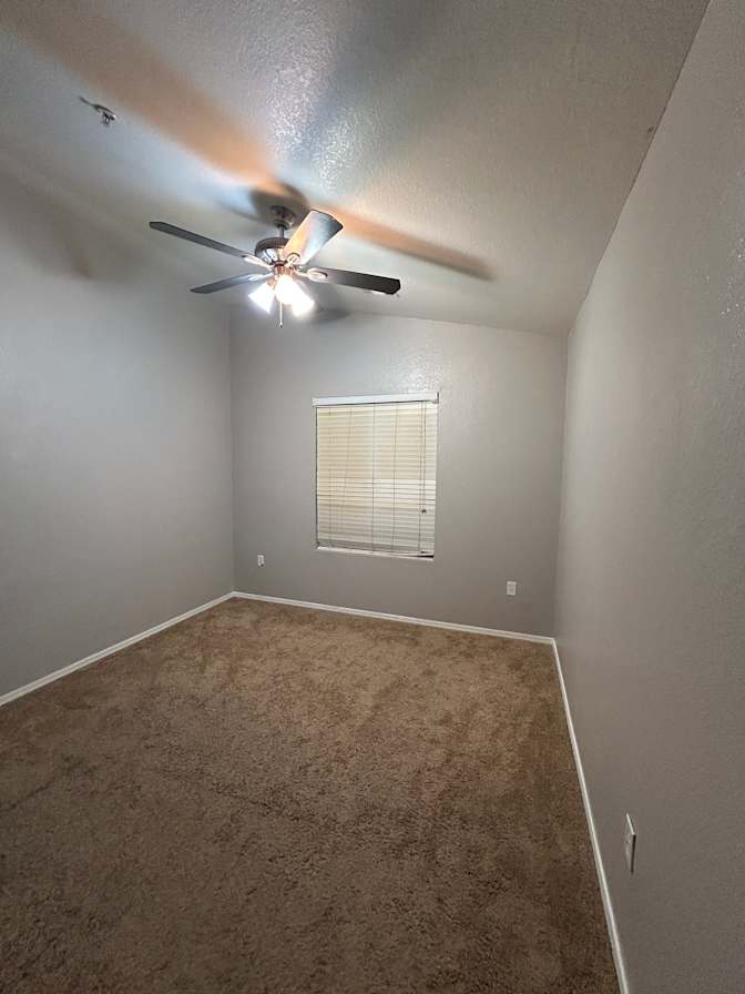 Zariah's room