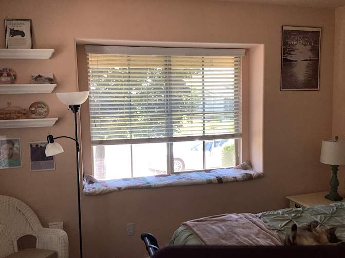 Mary's room