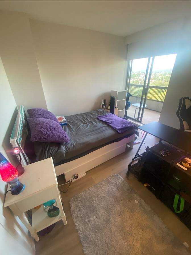 Mehdi's room