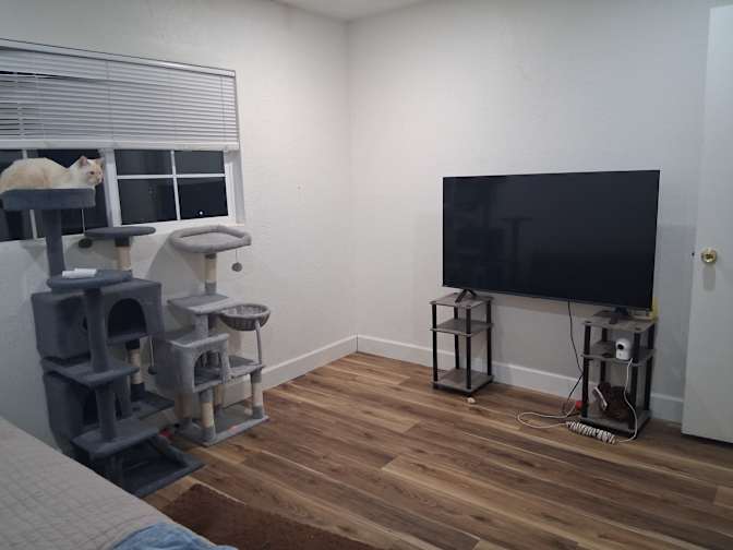Sandra's room