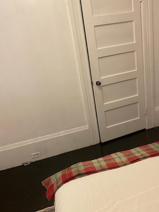Farnaz's room