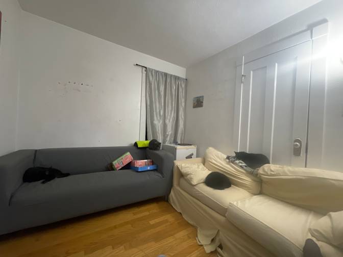 Birch's room