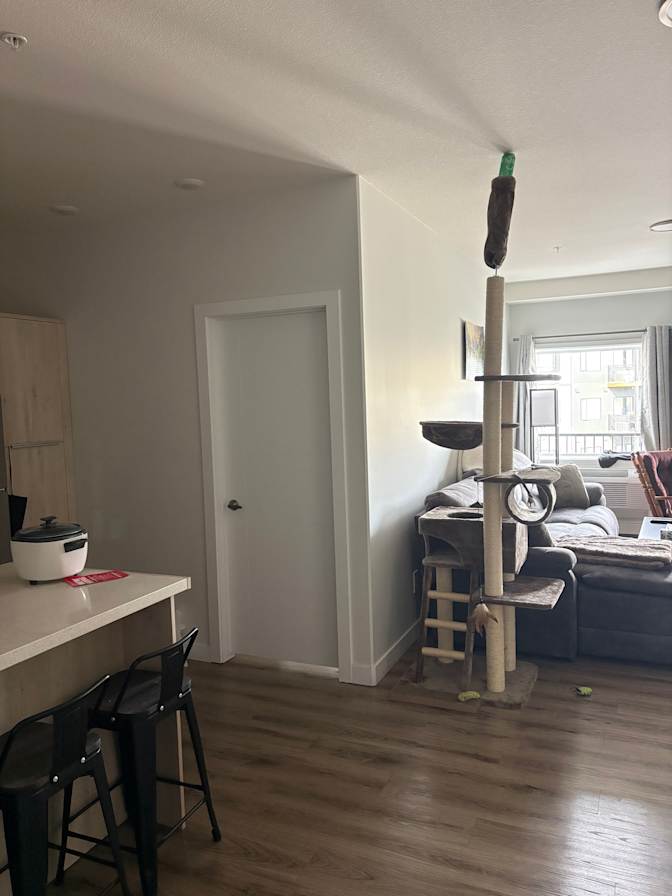 Jay Harvey's room