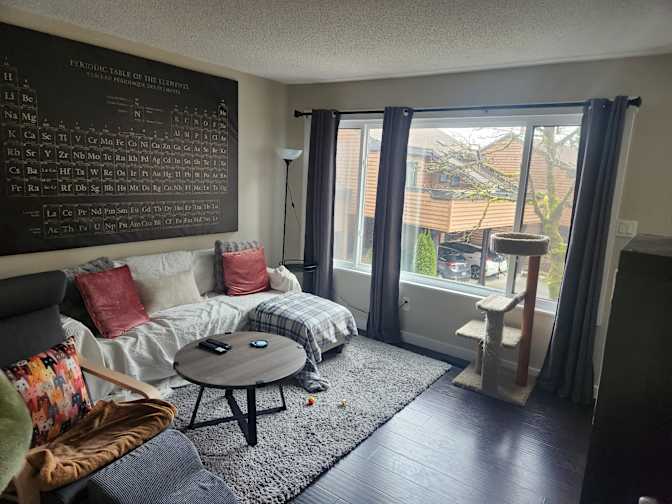 Jeff's room