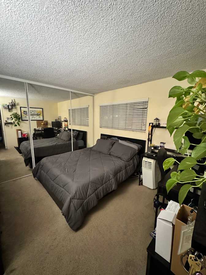 Tyler's room