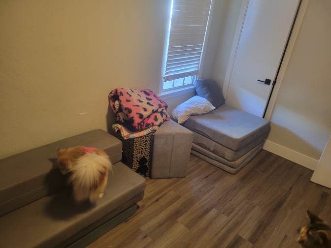 Ariel Villareal's room
