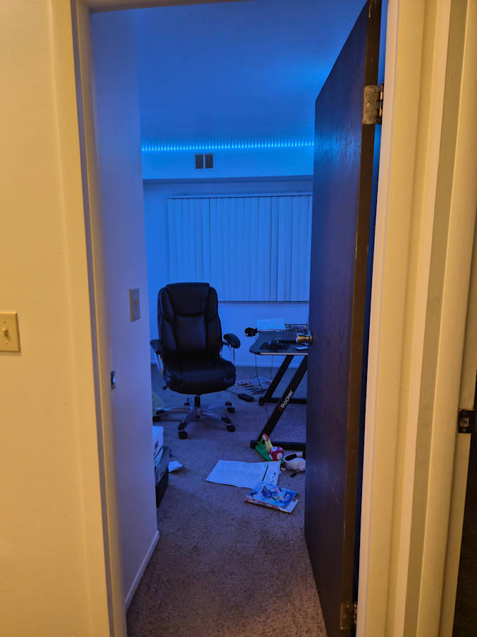 Sophia's room