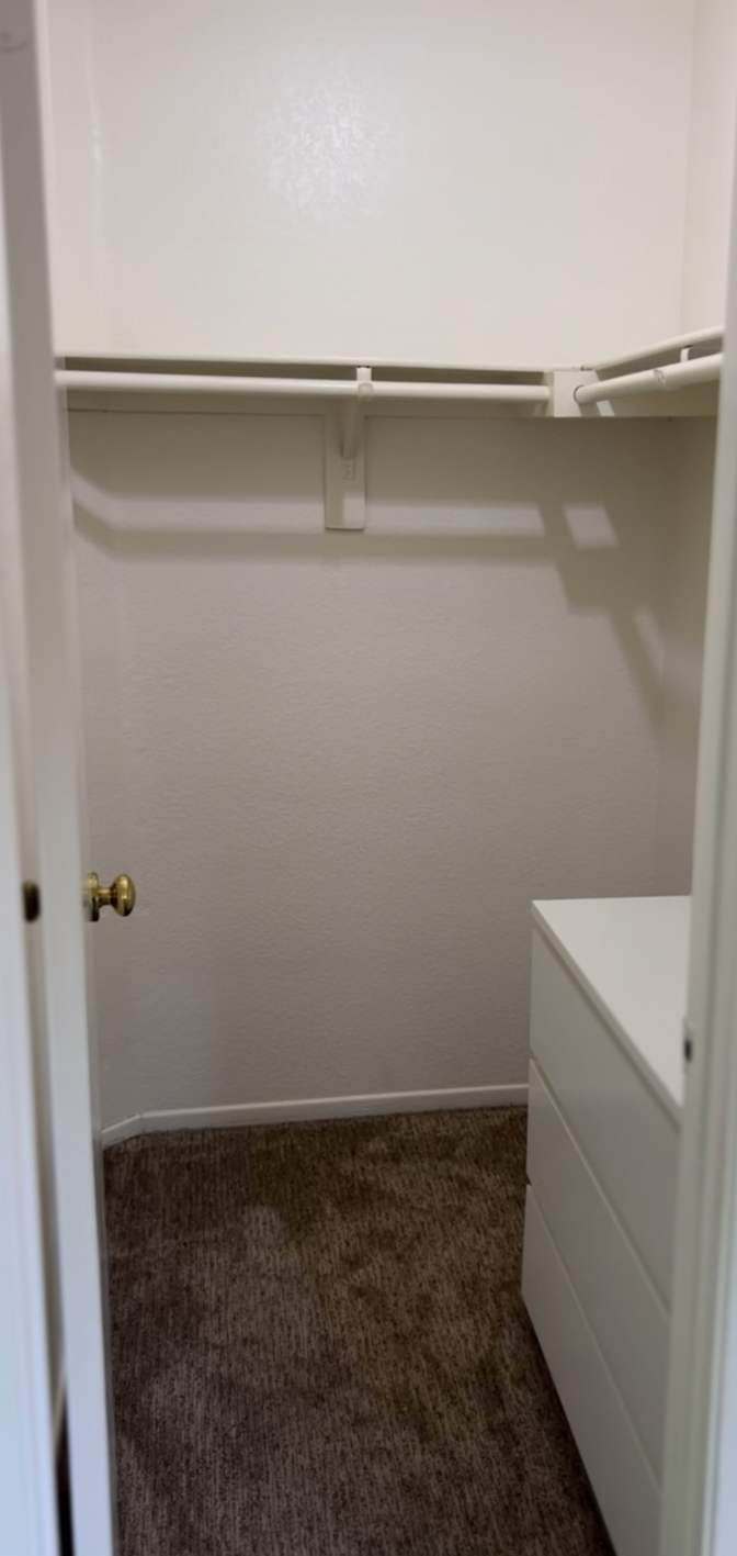 David's room