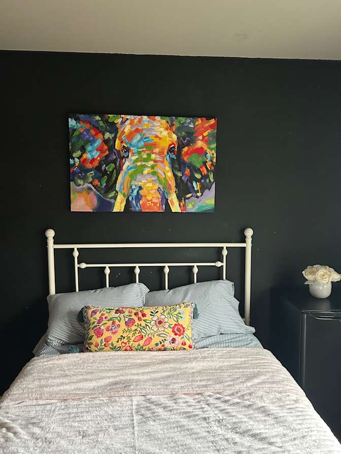 Mary's room