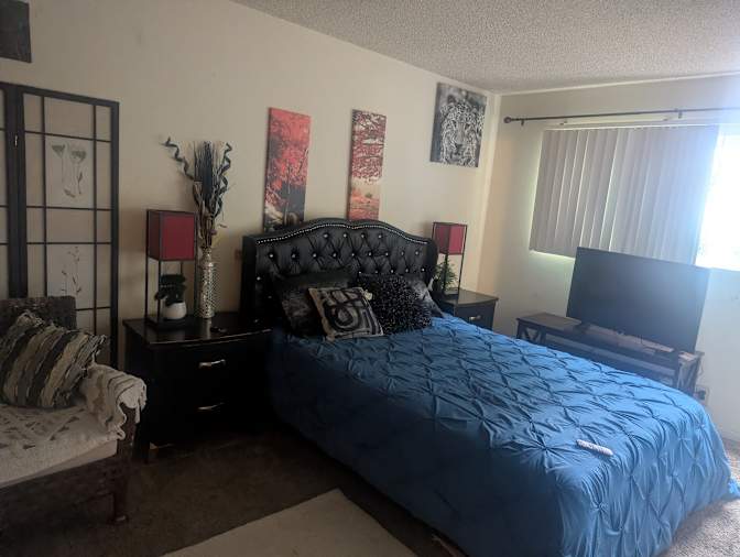 Leonardo's room