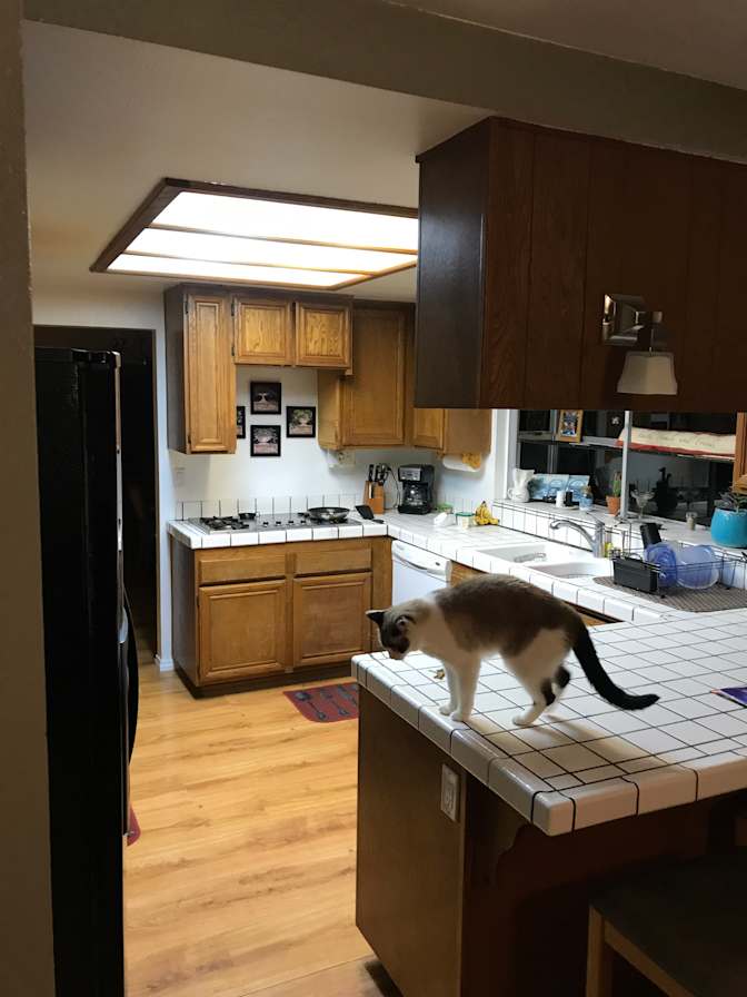 Scott's room