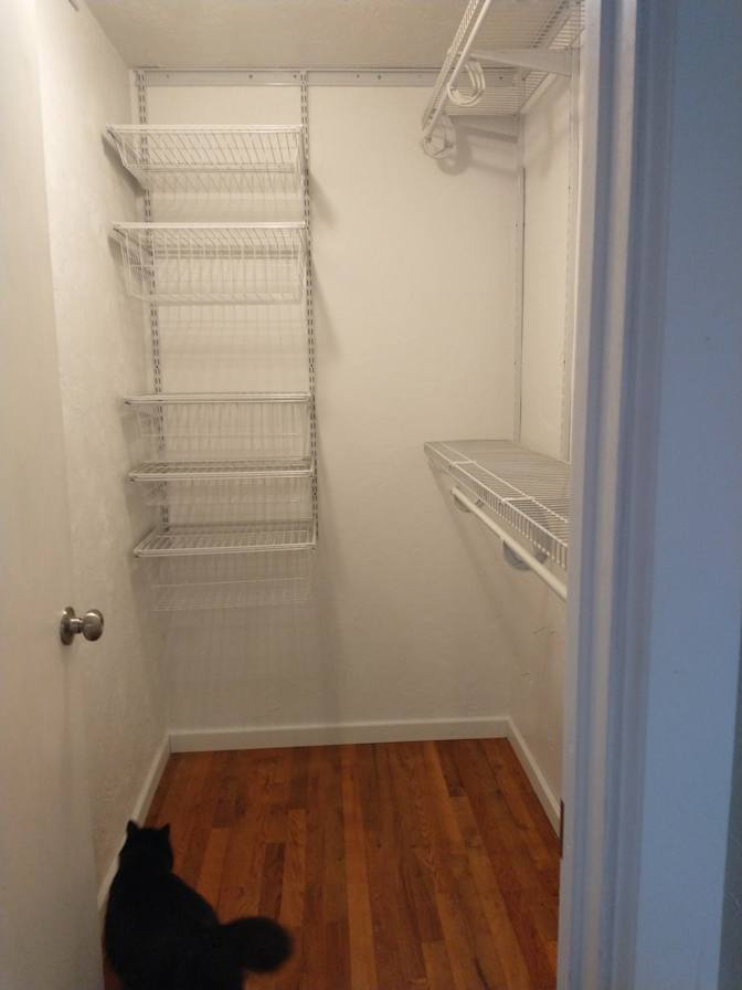 Carol's room