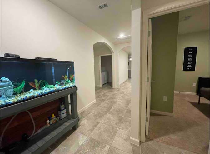 Josh's room
