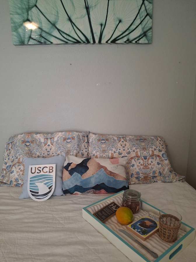 Laura Elizabeth's room