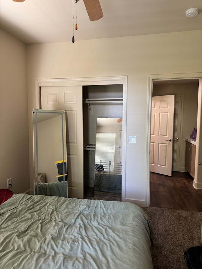 Hailee's room