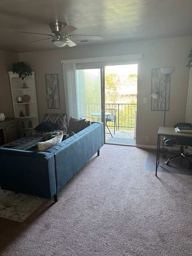 Alex Te's room
