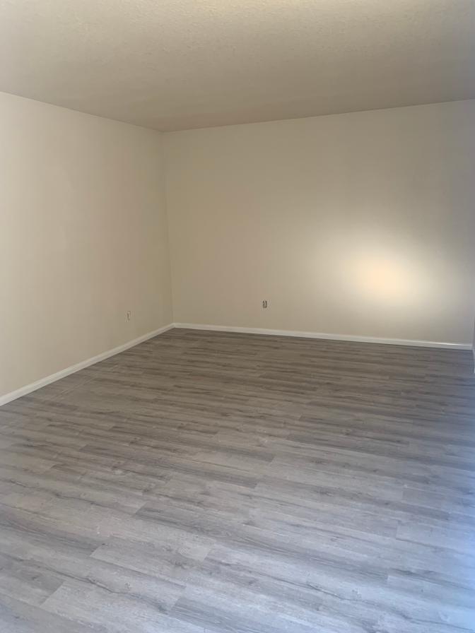 Benzo's room