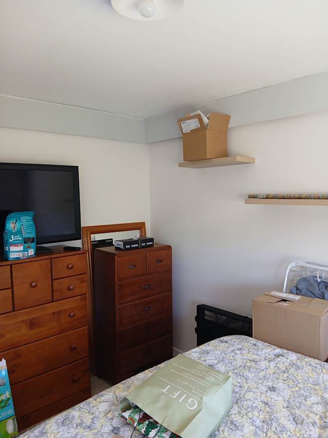 Braydon Papesch's room