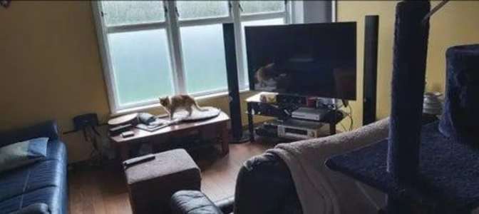 Jessica R Clark's room