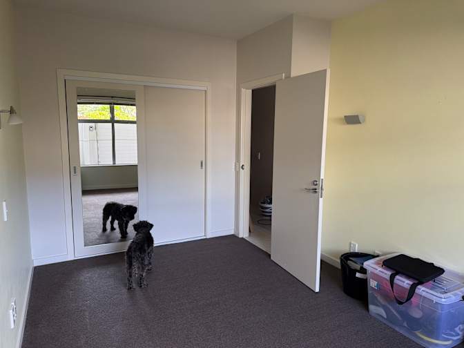 Amy's room