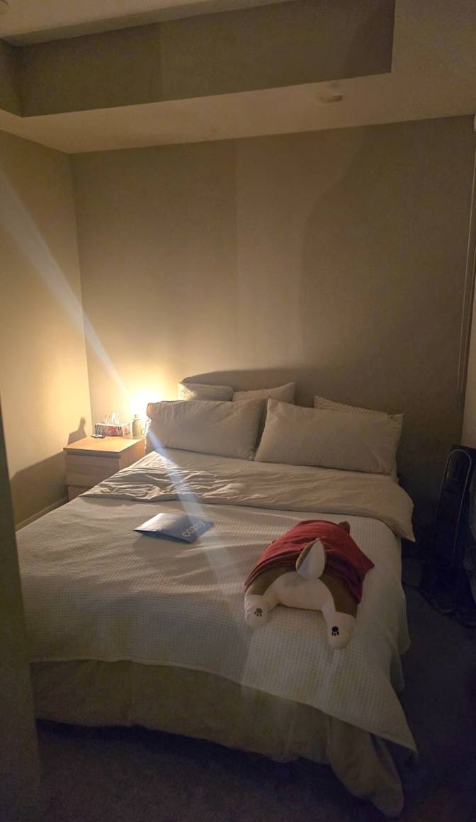 Ahmed's room